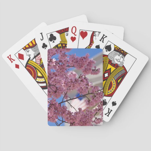 Jeu De Cartes Sakura Cherry Blossoms (dos)