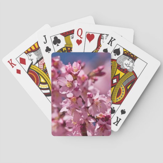 Jeu De Cartes Sakura Cherry Blossoms embrassés par Sunlight (dos)