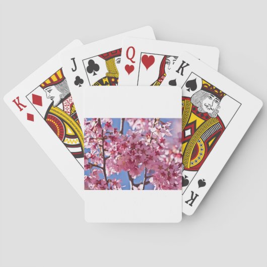Jeu De Cartes Sakura Cherry Blossoms Red Stars (dos)