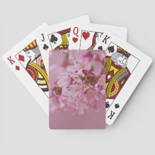 Jeu De Cartes Sakura Cherry Blossoms rose pâle Réflexions