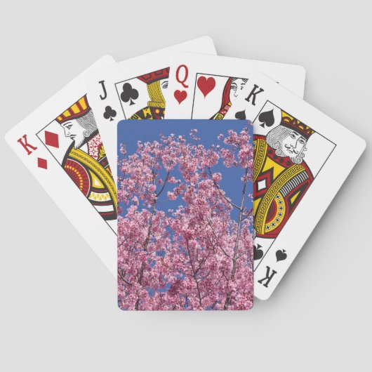 Jeu De Cartes Sakura Cherry Fleurit Dans Le Bleu (dos)