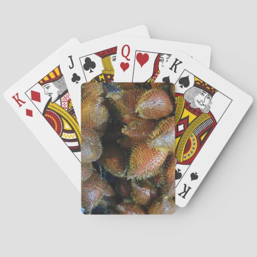 Jeu De Cartes Salak [Fruit de serpent] (dos)