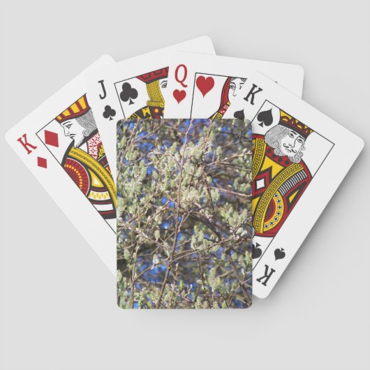 JEU DE CARTES SAULE DE PRINTEMPS (dos)