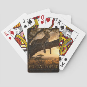 Jeu De Cartes Savane de l'Acacia du Léopard Africain ANIMALS Pok