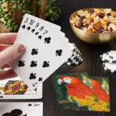 Jeu De Cartes Scarlet Macaw (In Situ)