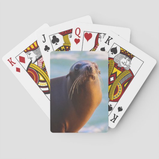 Jeu De Cartes Sceau 1 - Ce que vous regardez ! (dos)