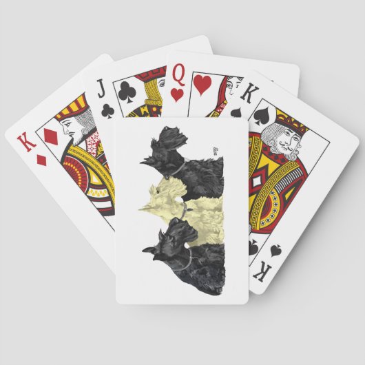 Jeu De Cartes Scotties noirs et froment (dos)
