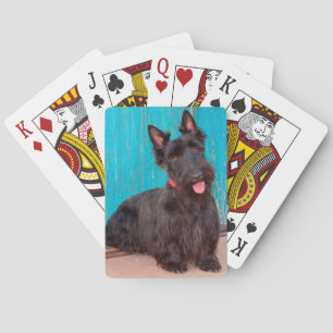 Jeu De Cartes Scottish Terrier assis à la porte colorée