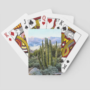 Jeu De Cartes Scottsdale Succulent Sunset