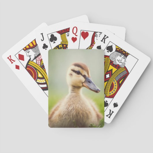 Jeu De Cartes Se pencher de Mallard de bébé (dos)