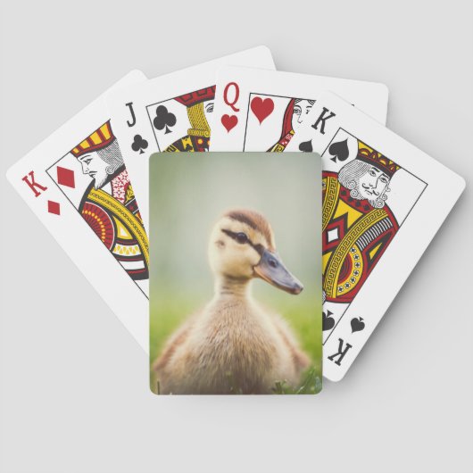 Jeu De Cartes Se pencher de Mallard de bébé (dos)