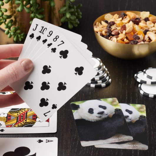 Jeu De Cartes Séance de panda géant (In Situ)