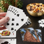 Jeu De Cartes Séquoia géant s'élève (In Situ)