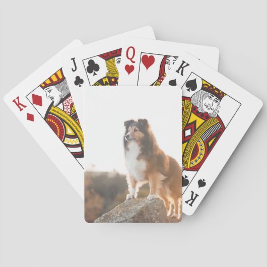 Jeu De Cartes Sheltie sur la protection de falaise entendue (dos)