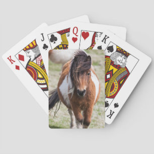 Jeu De Cartes Shetland Pony, Shetland Islands