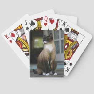 Jeu De Cartes Siamese Cat on the Porch