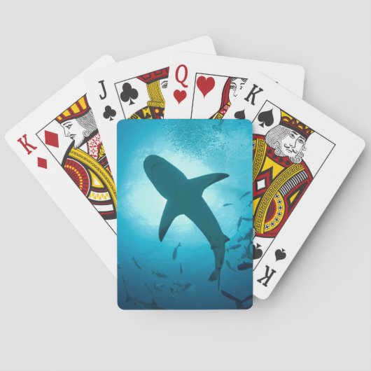 Jeu De Cartes Silhouette de requin (dos)