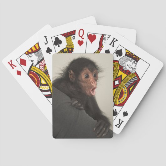 Jeu De Cartes Singe araignée à face rouge Ateles paniscus) (dos)