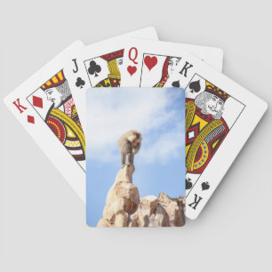 Jeu De Cartes Singe babouin au sommet d'une montagne