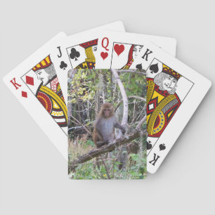 Jeu De Cartes singe de macaque du rhésus 001a