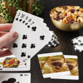 Jeu De Cartes Singe effronté. (In Situ)