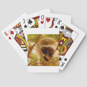 Jeu De Cartes Singe effronté.