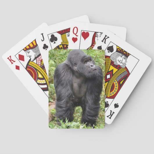 Jeu De Cartes Singe heureux (dos)