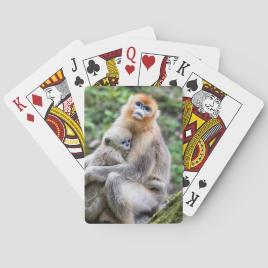 Jeu De Cartes Singe nez retroussé doré avec bébé (dos)