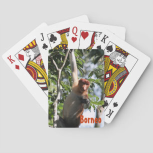 Jeu De Cartes Singe proboscis dans la forêt tropicale de Bornéo