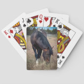 Jeu De Cartes Skeeter (dos)