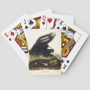 Jeu De Cartes Skunk américaine commune ou Striped Skunk, par Aud