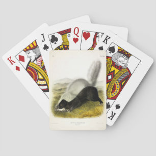 Jeu De Cartes Skunk (Texan Skunk) Audubon's Quadrupeds
