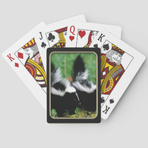 Jeu De Cartes Skunks Photo Art Jouer des cartes