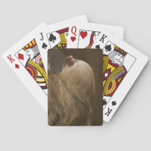 Jeu De Cartes Sloth