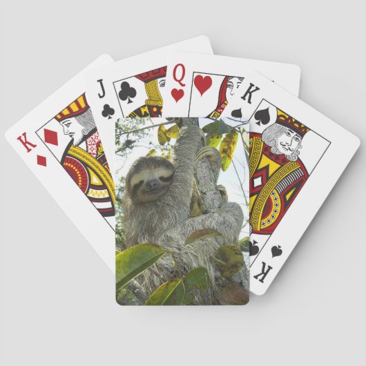 Jeu De Cartes Sloth (dos)