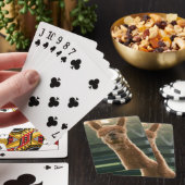 Jeu De Cartes Smiling alpaca playing cards (In Situ)