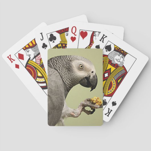 Jeu De Cartes Snacking de perroquet gris africain Congo intense (dos)