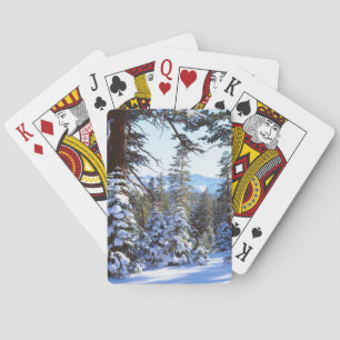 Jeu De Cartes Snow-covered Red Fir trees in the High Sierra 2