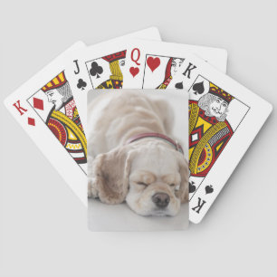 Jeu De Cartes Sommeil de chien de cocker