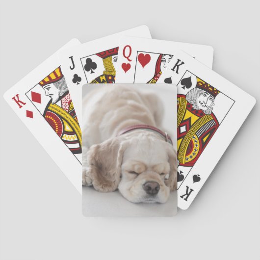 Jeu De Cartes Sommeil de chien de cocker (dos)