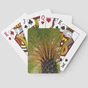 Jeu De Cartes Sous-face d'un palmier