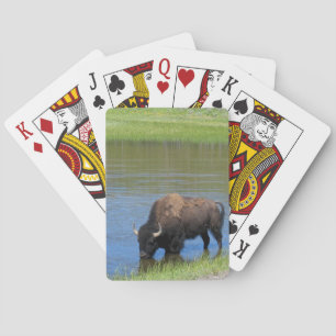 Jeu De Cartes Souvenir de Buffalo de Yellowstone