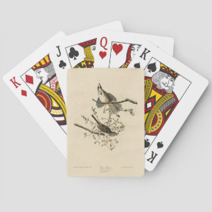 Jeu De Cartes Sparrow de Audubon's Birds of America