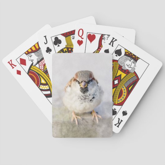 Jeu De Cartes Sparrow - Le Guerrier (dos)