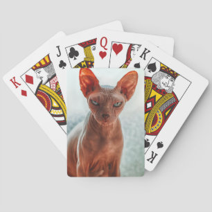 Jeu De Cartes Sphynx sans cheveux