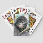 JEU DE CARTES SPIDER MONKEY (dos)