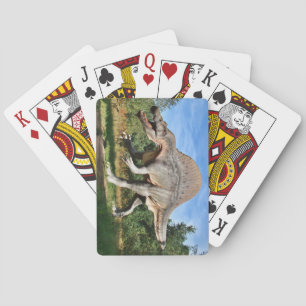 Jeu De Cartes Spinosaure Dinosaure