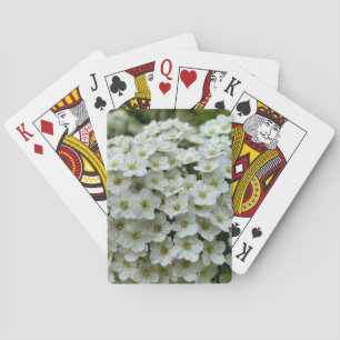 Jeu De Cartes Spirea Arguta