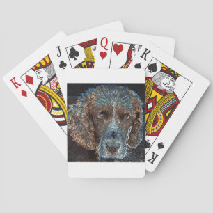 Jeu De Cartes Springer anglais