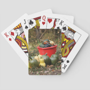 Jeu De Cartes Squash Country Garden Harvest Orton